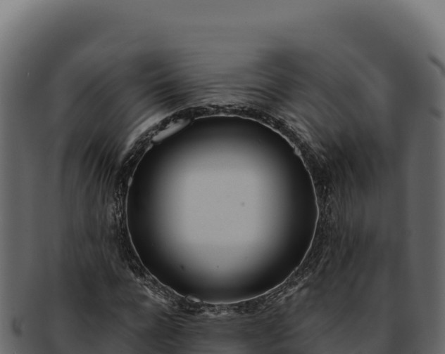 X0000092300920200710041444