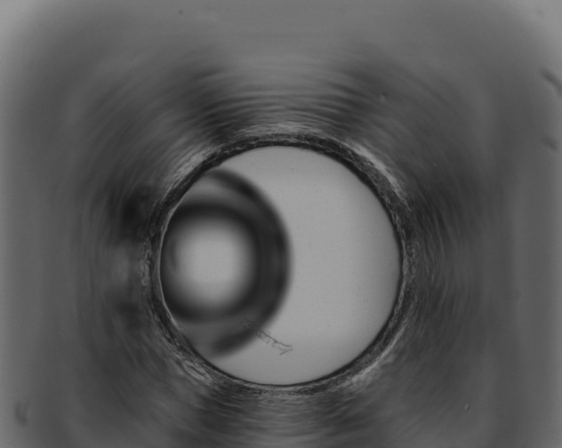 X0000092300921200710041444