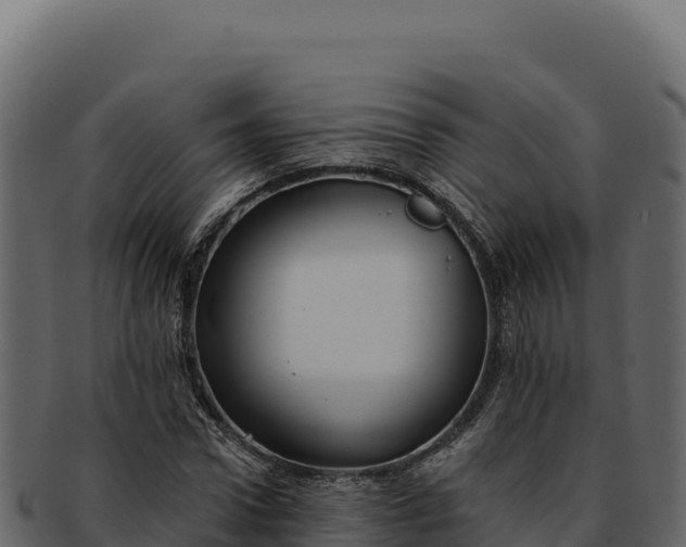 X0000092300922200710041444