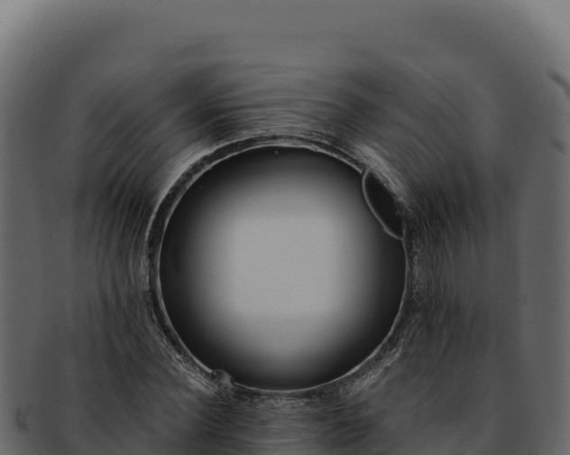 X0000092300924200710041445