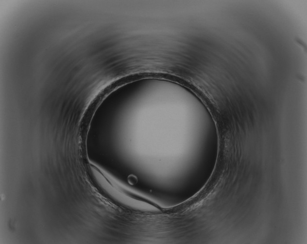 X0000092300926200710041445