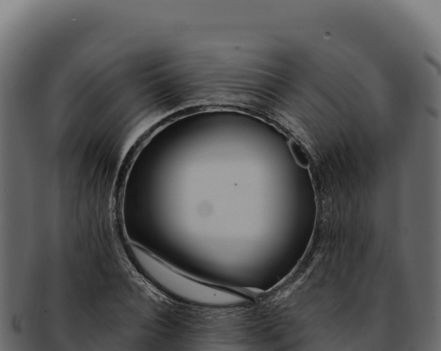 X0000092300928200710041445