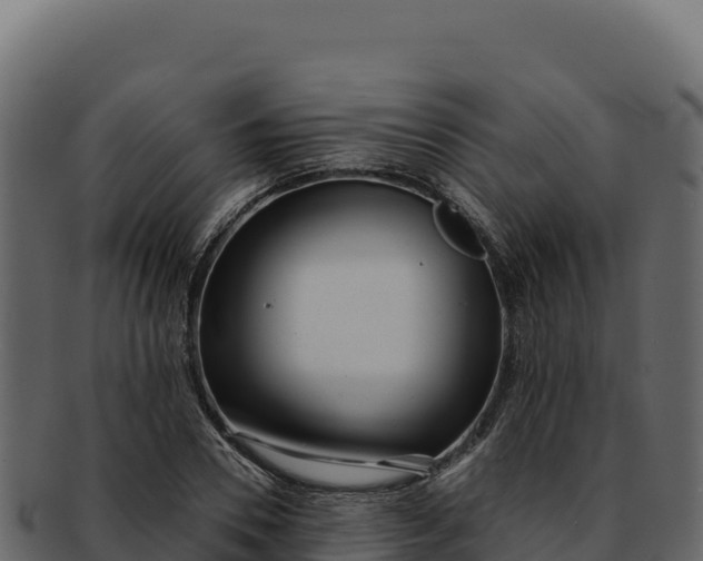 X0000092300930200710041445