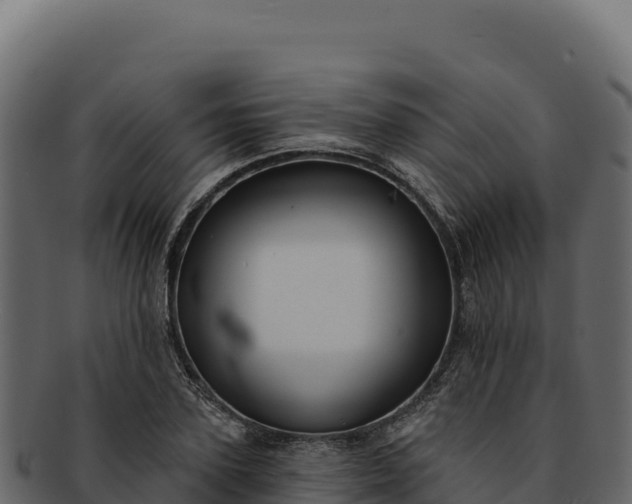 X0000092300931200710041445