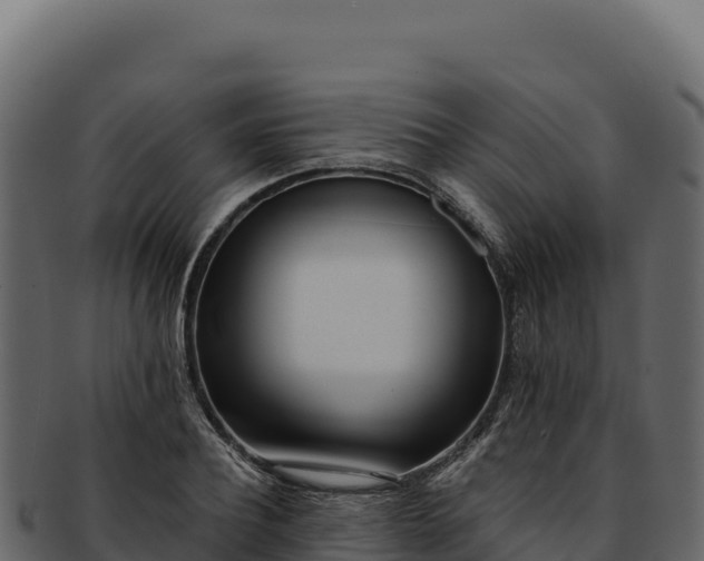 X0000092300932200710041445