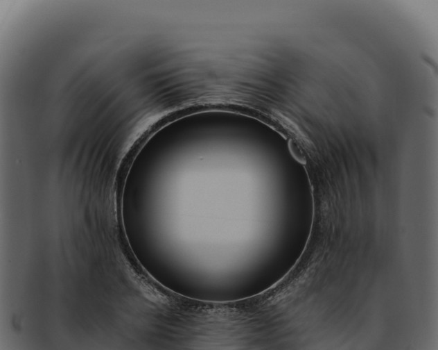 X0000092300934200710041445