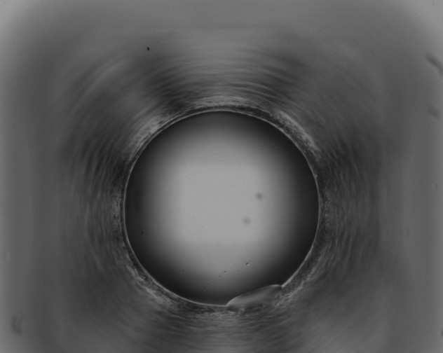 X0000092300937200710041445