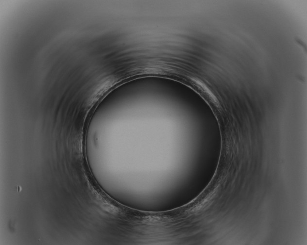 X0000092300938200710041445