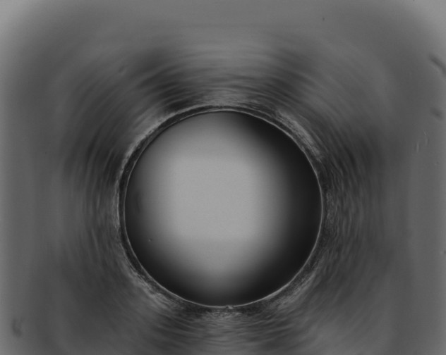 X0000092300939200710041445