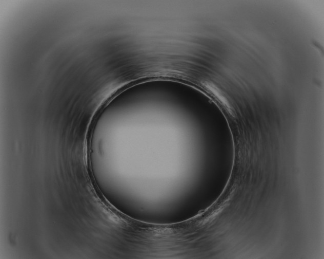 X0000092300940200710041445