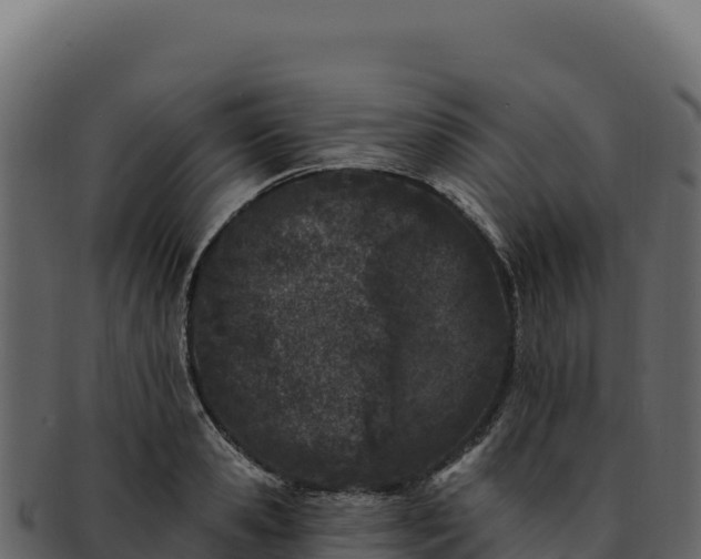 X0000092300941200710041445