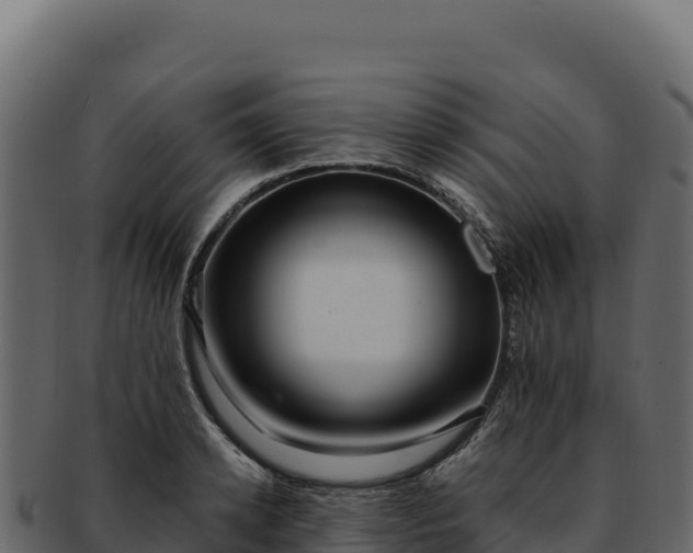 X0000092300942200710041445