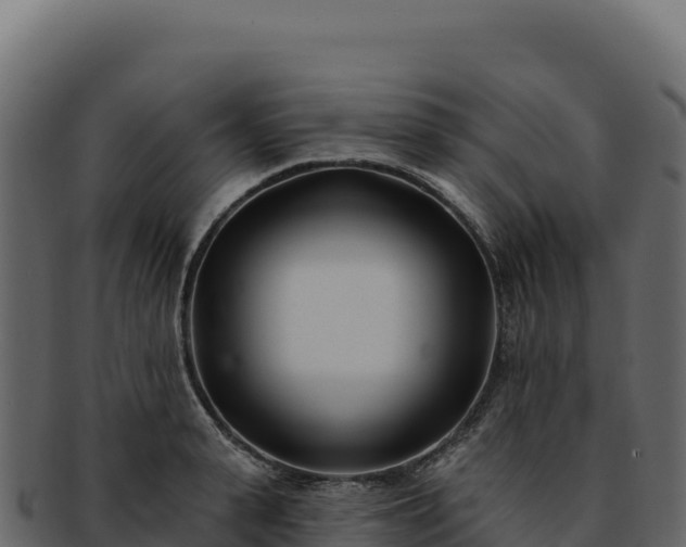 X0000092300943200710041445