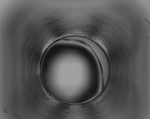 X0000092300944200710041445