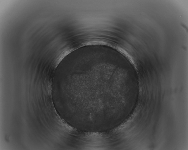 X0000092300945200710041445