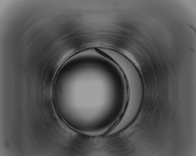 X0000092300946200710041445