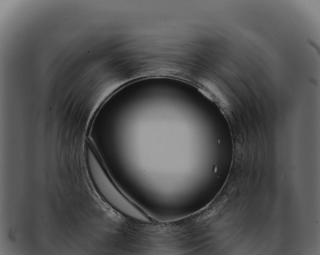 X0000092300948200710041445