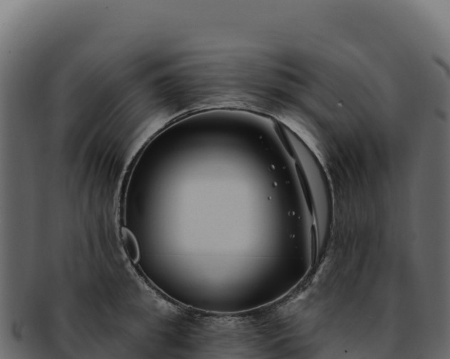 X0000092300949200710041445