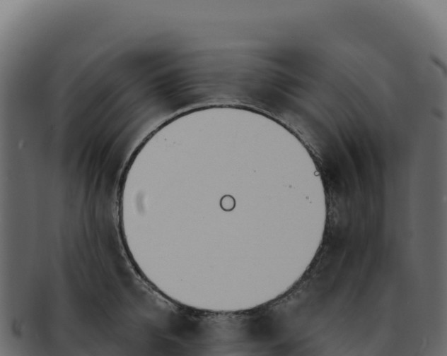 X0000092300950200710041445