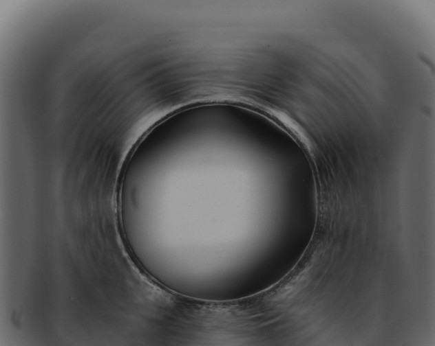 X0000092300951200710041445