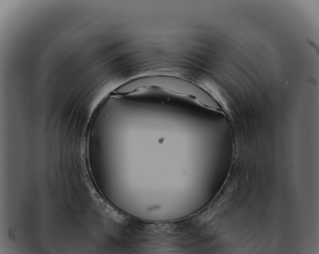 X0000092300952200710041445