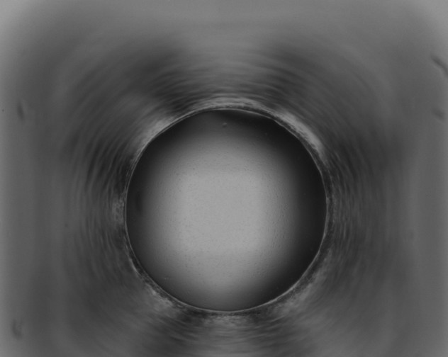 X0000092300953200710041445