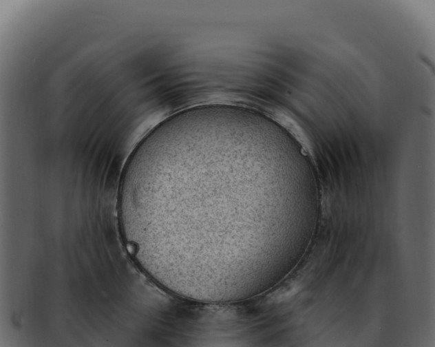 X0000092300954200710041445