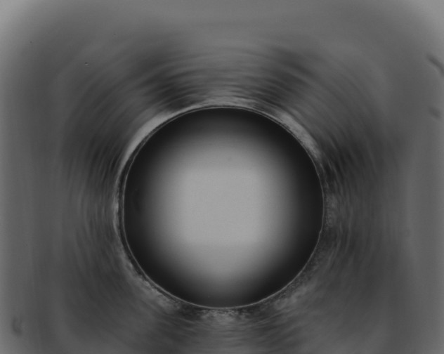 X0000092300955200710041445