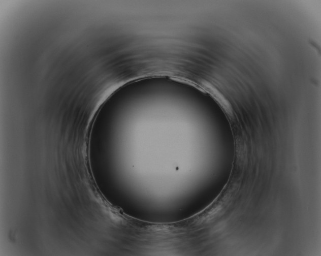 X0000092300956200710041445