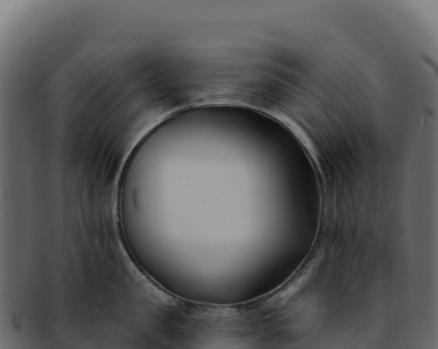 X0000092300957200710041445