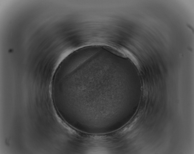 X0000092300958200710041445