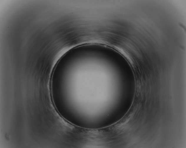 X0000092300959200710041445