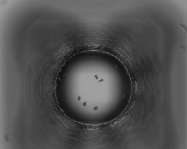 X0000092300961200710041444