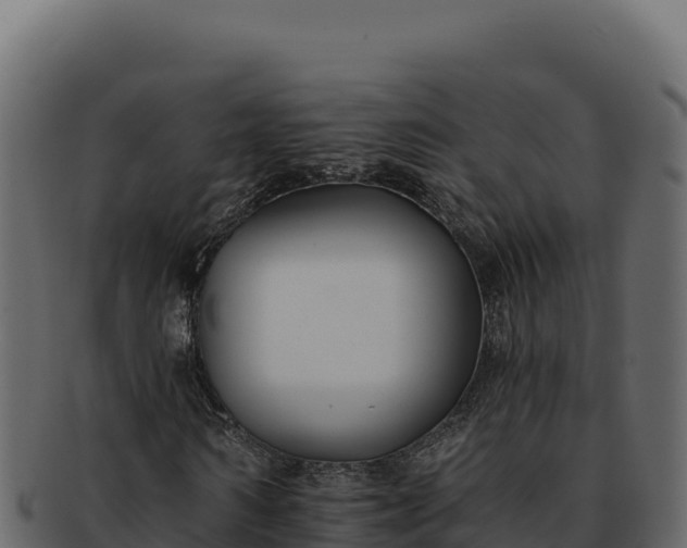 X0000092300962200710041444