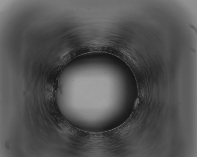 X0000092300964200710041444