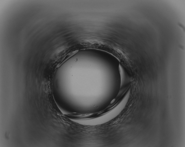 X0000092300965200710041444