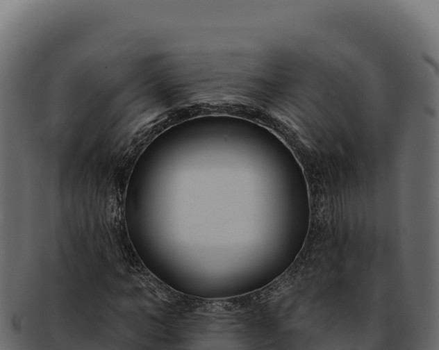 X0000092300966200710041444