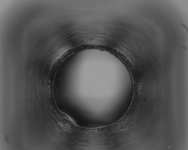 X0000092300968200710041444