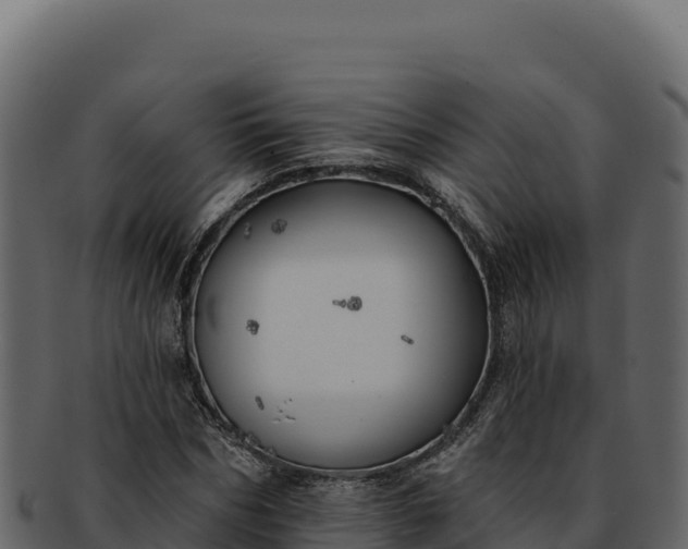 X0000092300970200710041444