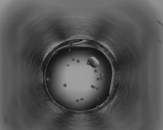 X0000092300973200710041444