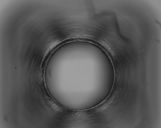 X0000092300974200710041444