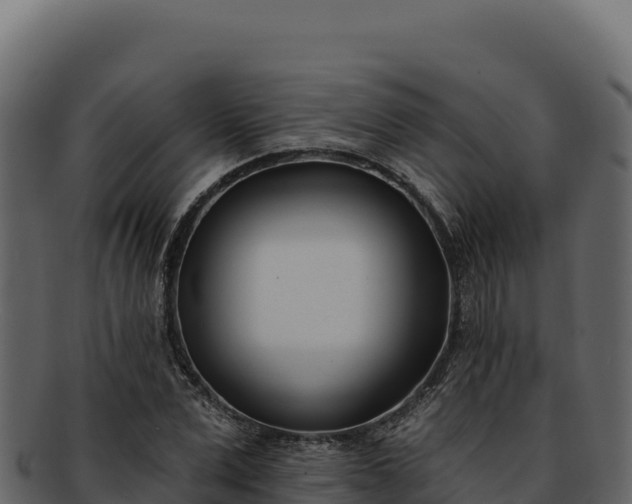 X0000092300975200710041444