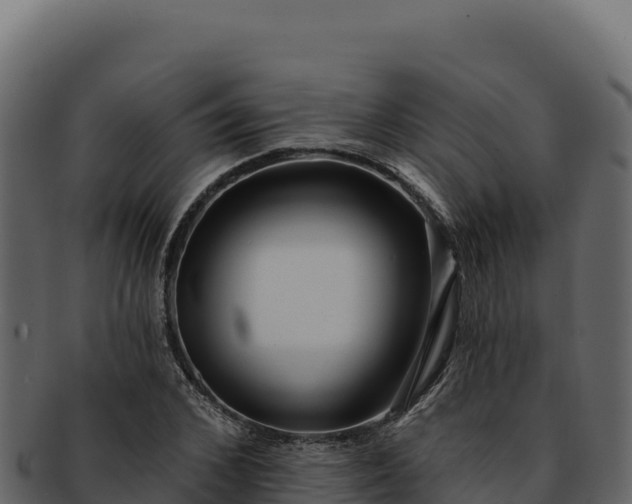 X0000092300976200710041444