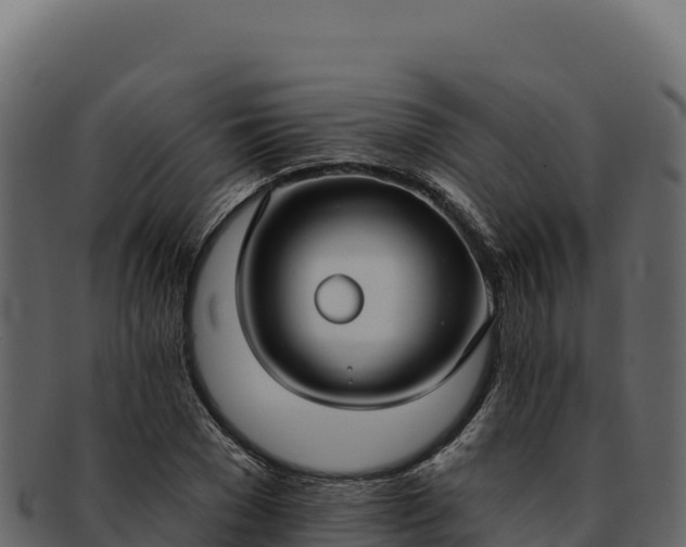 X0000092300977200710041444