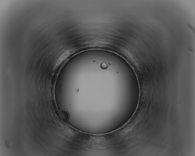 X0000092300978200710041444