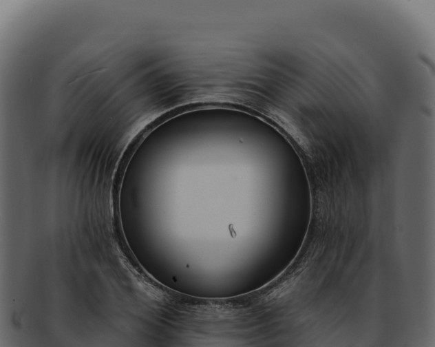 X0000092300980200710041444