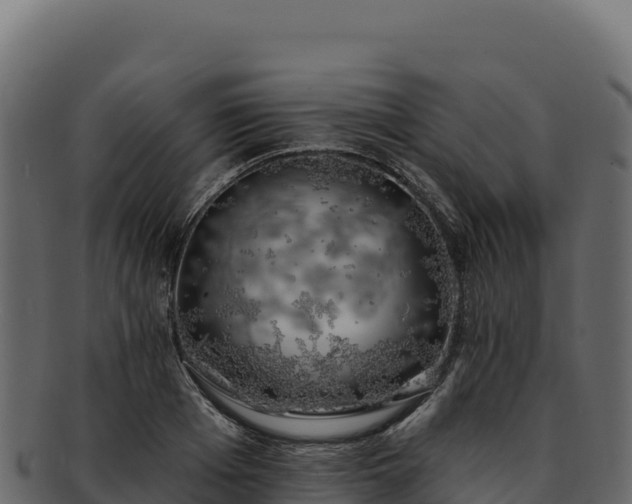 X0000092300985200710041444