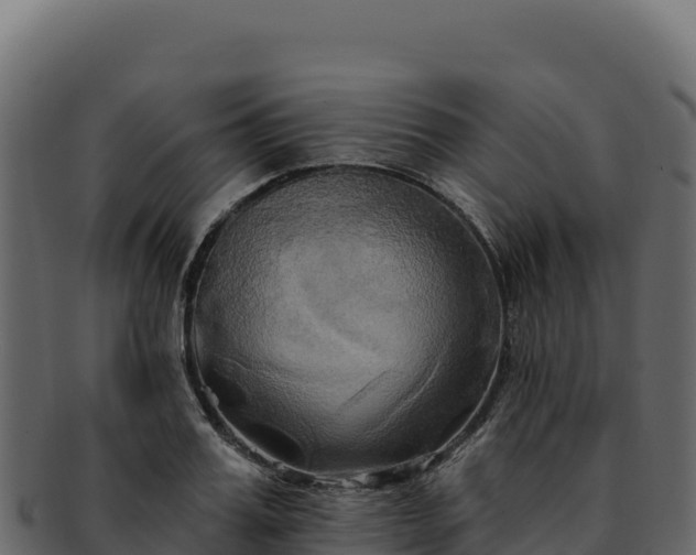 X0000092300987200710041444