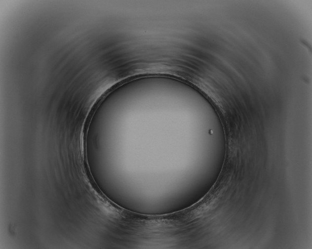 X0000092300988200710041444