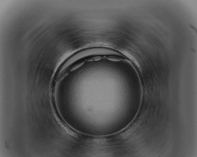 X0000092300989200710041444